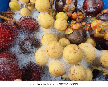 Pulasan Images, Stock Photos u0026 Vectors  Shutterstock