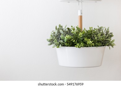 close up. Plastic tree leaf in white pot