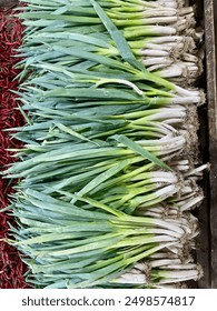 Close up, top view of bundle of fresh leeks or green spring onion or bawang daun