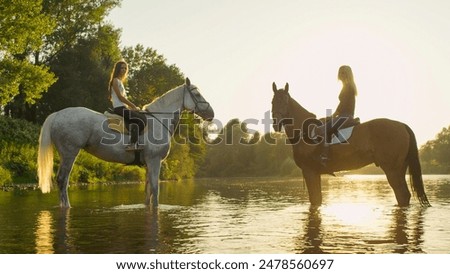 CLOSE UP: Two young smiling girls riding brown stallion and grey mare, standing in shallow river, enjoying in nature on sunny day. Strong horses chilling face to face in refreshing water