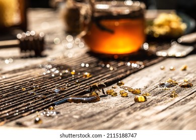 Close up. working bees on honey cells. Bees produce fresh, healthy, honey. Honey background. Beekeeping concept. Long banner format.