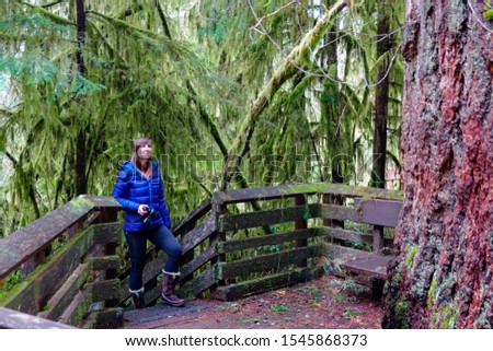 CLOSE UP: Young female photographer looks up at the massive spruce deep in Hoh Rainforest. Girl trekking around Olympic National Park marvels at the ancient spruce deep in the vibrant green woods.