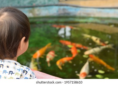 2,383 Look down fish Images, Stock Photos & Vectors | Shutterstock