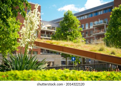 Close up of urban greening in the context of climate adaptation - Shutterstock ID 2014322120