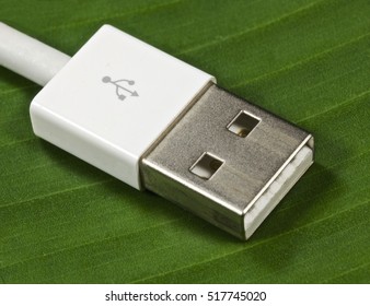 Close Up : Used Hi-Tech USB  Chord On Natural Green Leaf Background      