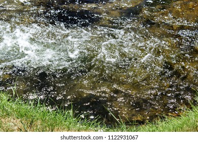 Close Up Of Utah ,Provo River