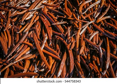 Close up of vanilla pods drying on the sun