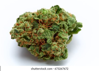 Close up of Venom OG medical marijuana bud isolated on white background