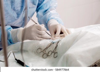 Close Up Of Veterinarian Or Doctor With Scalpel Doing Surgery In The Clinic. Medicine, Pet, Animals, Health Care And People Concept