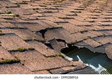 Close Up View Of Asphalt Shingles Roof Damage That Needs Repair.