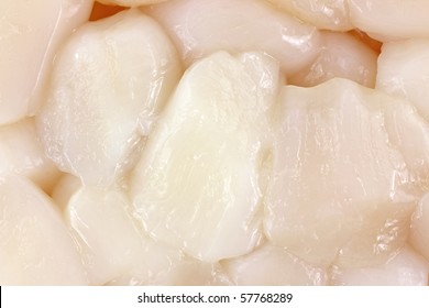 Close View Of Bay Scallops