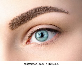 Close up view of beautiful blue female eye. Perfect trendy eyebrow. Good vision, contact lenses, brow bar or fashion eyebrow makeup concept