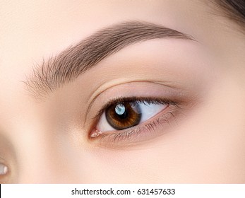 Close up view of beautiful brown female eye. Perfect trendy eyebrow. Good vision, contact lenses, brow bar or fashion eyebrow makeup concept
