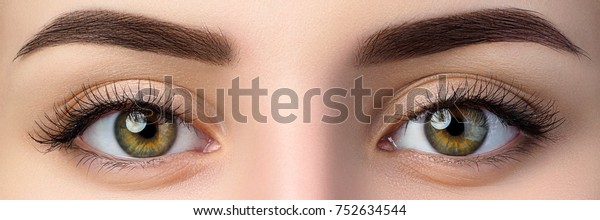 Close up view of beautiful brown female eyes.\
Perfect trendy eyebrow. Good vision, contact lenses, brow bar or\
fashion eyebrow makeup\
concept.