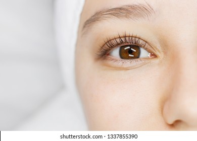 Close Up View Of Beautiful Female Eye With Long Natural Lashes. Eyelash Extension Procedure. Natural Eyebrows. Good Vision, Contact Lenses. Eye Health Care.