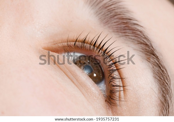Close up view of beautiful female eye
with long natural lashes. Eyelash extension procedure. Natural
eyebrows. Good vision, contact lenses. Eye health
care.