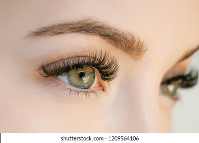 Закрыть вид красивый зеленый женский глаз с длинными ресницами, гладкой здоровой кожи. Процедура наращивания ресниц. Идеальные модные брови. Хорошее зрение, контактные линзы. Здравоохранение и уход за глазами.