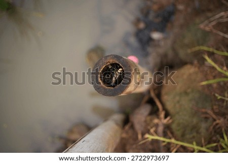 A close up view of a bee inside a beekeeping smoker, emitting smoke.