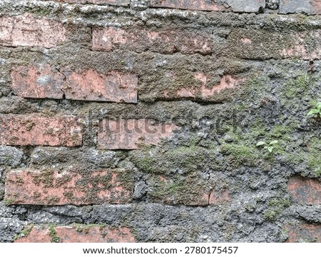 A close view of a brick wall with moss and weathered mortar, showing rough surface and natural green growth in daylight.