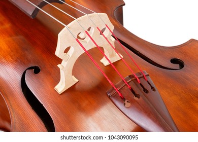Close view of a bridge and strings on a contrabass