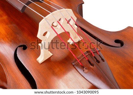 Close view of a bridge and strings on a contrabass