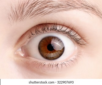 Close Up View Of A Brown Wide Open Woman Eye - No Make Up On