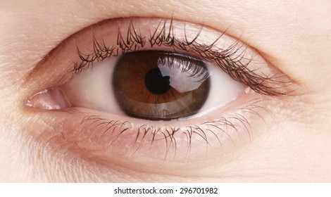 Close up view of a brown woman eye - no make up on