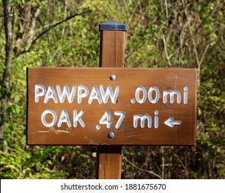 A Close View Of The Brown Wooden Trail Sign.