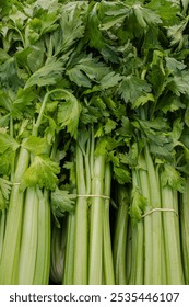 Close view of bunches of celery stalks at a farmers market stand. Vertical orientation