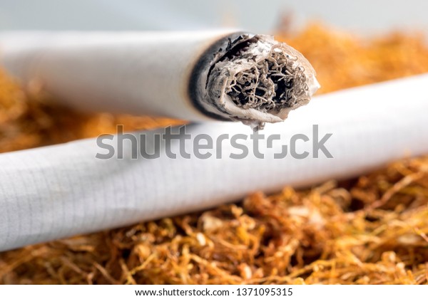 Close up view of the burning cigarette on\
the tobacco. Tobacco contains nicotine. Smoking cigarettes can lead\
to nicotine addiction. The addiction begins when nicotine acts on\
nicotinic acetylcholine.