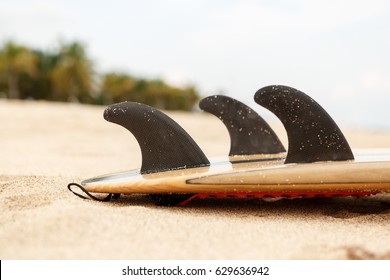 Close up view of a carbon fiber fins on a design wooden surf shortboard surfboard board at sunrise or sunset on sand beach with palm tree. Vacation concept. Summer holidays. Tourism, sport.