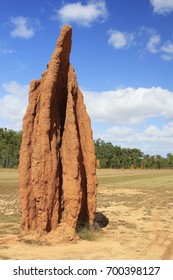 A Close Up View Of A Cathedral Termite Mound