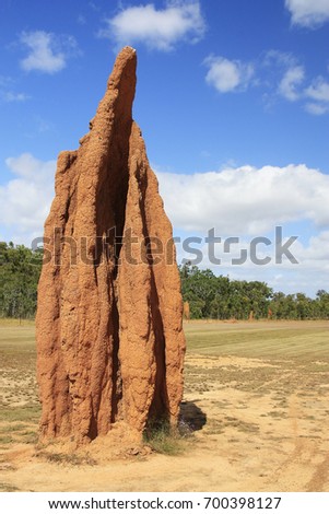 A close up view of a cathedral termite mound