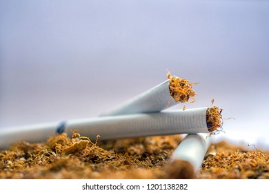 Close Up View Of The Cigarettes And Tobacco. Tobacco Is A Product Prepared From The Leaves Of The Tobacco Plant By Curing Them. The Plant Is Part Of The Genus Nicotiana And Of The Solanaceae Family.