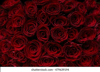 Close Up View Of Claret Roses Bouquet. Red Roses Background. Top View.