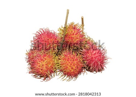 A close up view of a cluster of fresh red rambutans with hairy skin isolated on a pure white background.