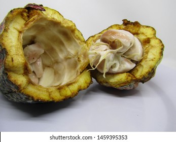 Close Up View Of Cocoa Fruit Pods Open Cut Half Slices And Exposing Coca Beans Inside. Fresh Raw Organic Grow Pick By Farmer From Tree Theobroma Cacao Plant Garden Farm. Yellow Brown Green Spots Color