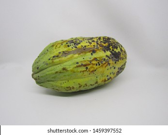 Close Up View Of Cocoa Fruit Pods Open Cut Half Slices And Exposing Coca Beans Inside. Fresh Raw Organic Grow Pick By Farmer From Tree Theobroma Cacao Plant Garden Farm. Yellow Brown Green Spots Color