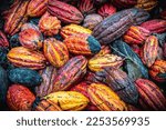 Close up view of colorful raw cacao beans piled close to each other on the ground.
