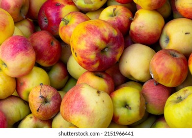 Close up view of damanged apples