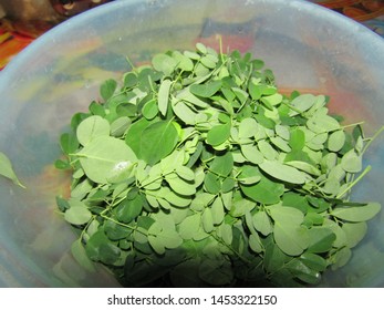 Moringa daun Moringa: Benefits,