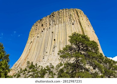 Close up view of Devils Tower National Monument rising high above the Wyoming landscape on a clear summer day