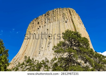 Close up view of Devils Tower National Monument rising high above the Wyoming landscape on a clear summer day
