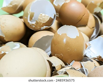 Close up view eggshell cracked 