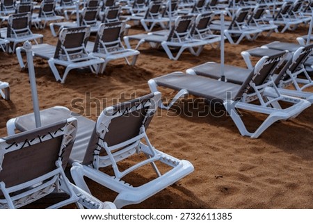 Close view of empty beach sunbeds with umbrella poles, resort vacation and leisure concept.