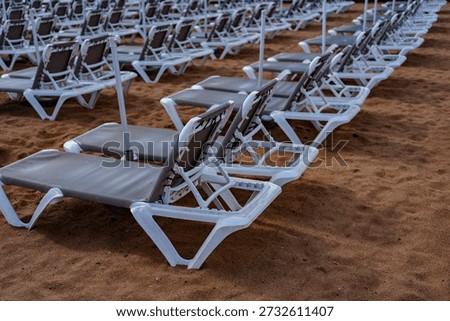 Close view of empty beach sunbeds with umbrella poles, resort vacation and leisure concept.