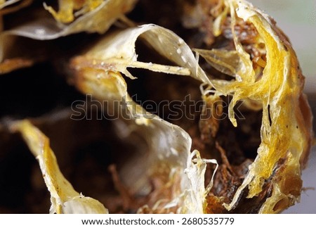CLOSE VIEW OF EMPTY CUT ORANGE HALF GONE BAD