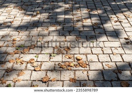Close up view of a European cobblestone sidewalk surface with scattered dry leaves and tree shadows