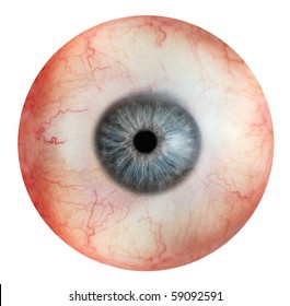 Close Up View Of Eyeball