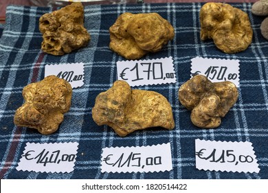 Close up view of famous white truffles on the stall in market at Alba, Piedmont, Northern Italy.